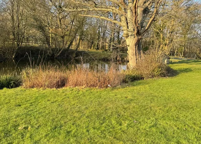 Waters Edge